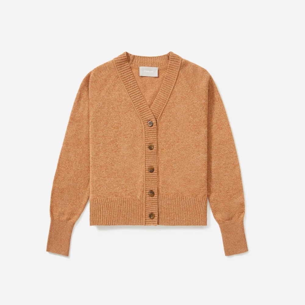 Everlane Cashmere Cardigan